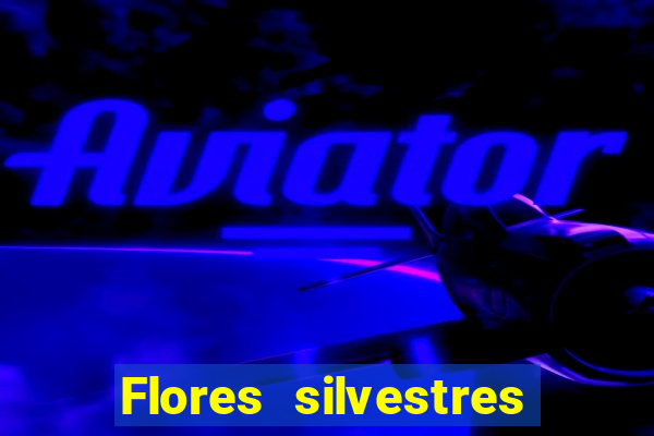 Flores silvestres brasileiras 25